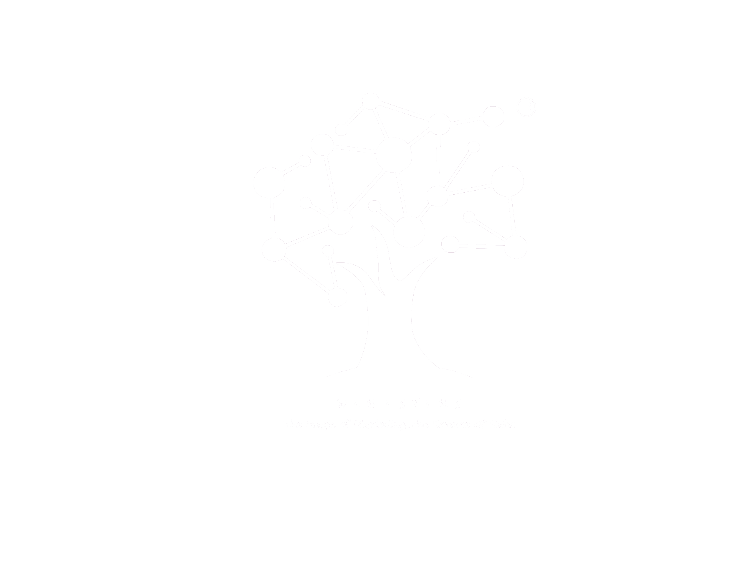 Webesters Studio